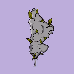 835