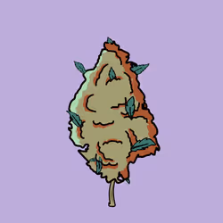 675