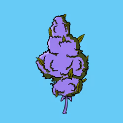 3003
