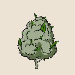 1031