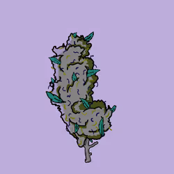 542