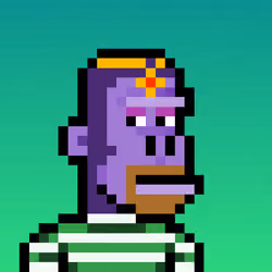 KongoKing #8169