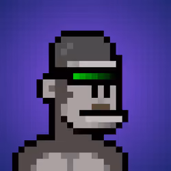 KongoKing #7785