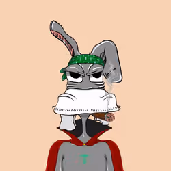 Jack Mule  #256
