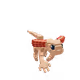 Fishbrain