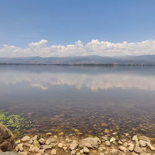 bhtxbht.lens-Collect-490