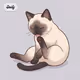 mellow cat