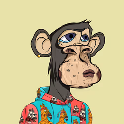 815