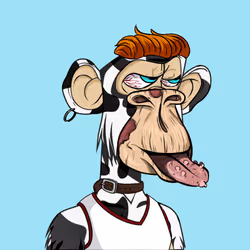 593