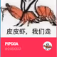 PIPIXIA V2
