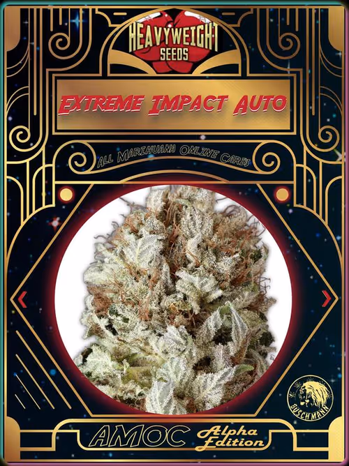 Item #1269882061 Media