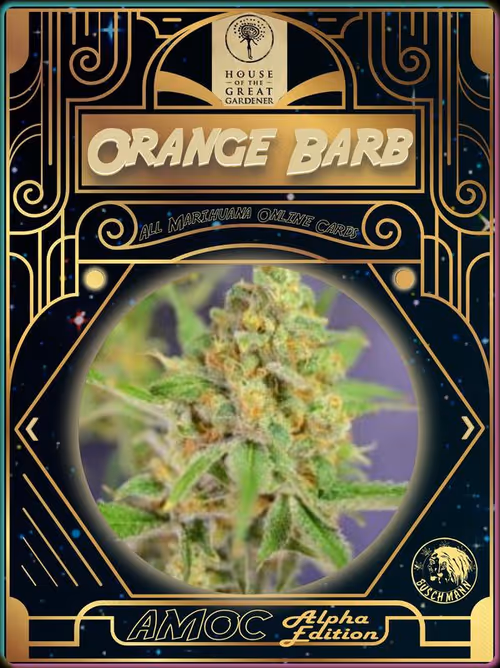 Item #8147817247 Media