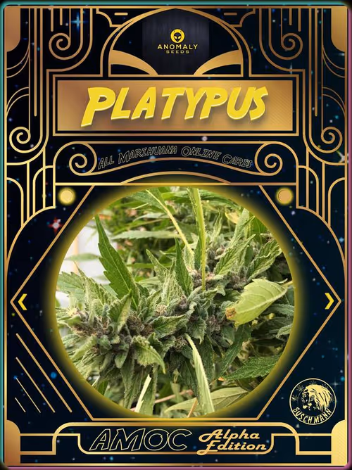 Item #8046670903 Media