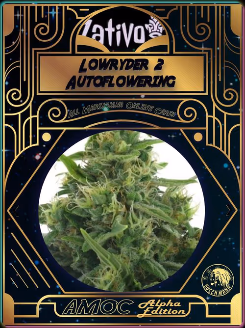 Item #1577419198 Media