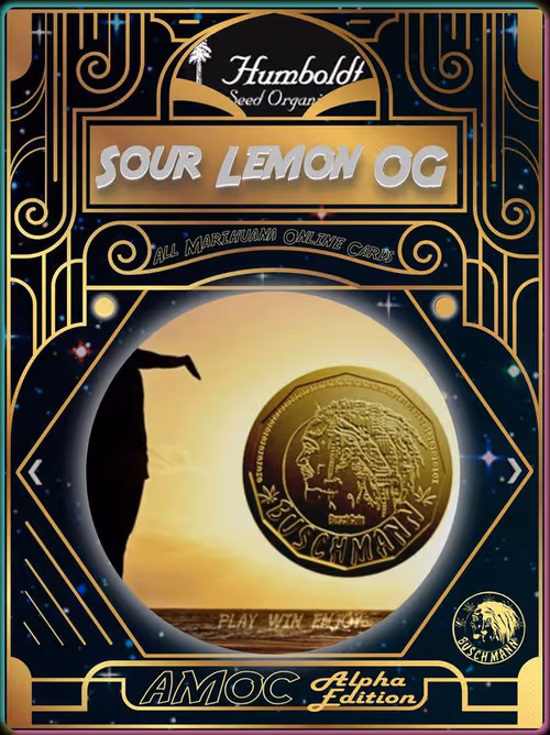 Item #7353853091 Media