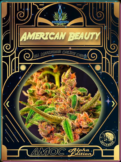 Item #9016464441 Media