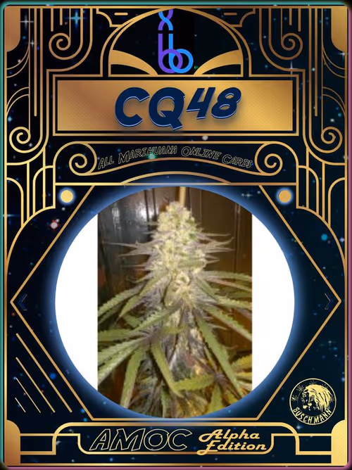 Item #3737843642 Media