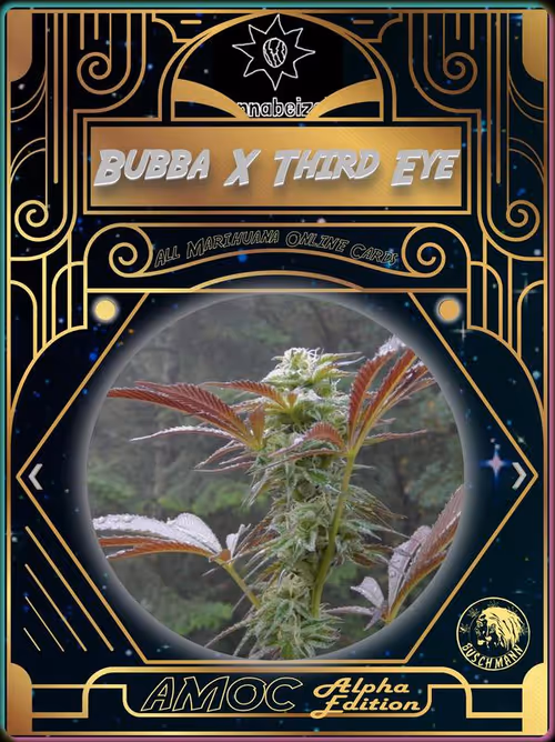 Item #1721965036 Media