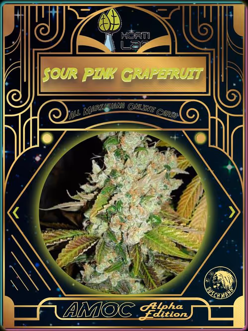 Item #1528658884 Media