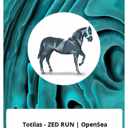 Totilas - ZED RUN | OpenSea