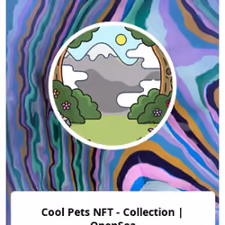 Cool Pets NFT - Collection | OpenSea