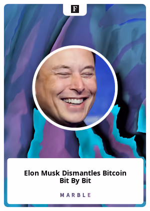 Elon Musk Dismantles Bitcoin Bit By Bit