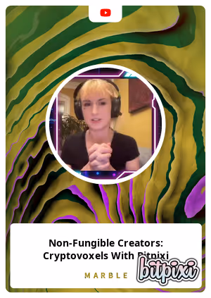 Non-Fungible Creators: Cryptovoxels With Bitpixi