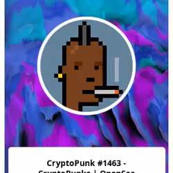 CryptoPunk #1463 - CryptoPunks | OpenSea