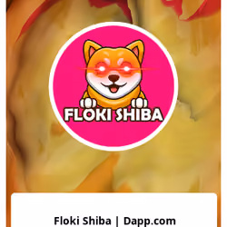 Floki Shiba | Dapp.com