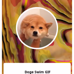Doge Swim GIF 
