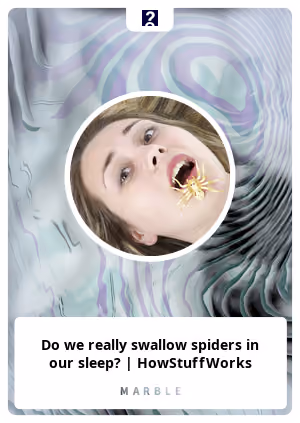 Do we really swallow spiders in our sleep? | HowStuffWorks