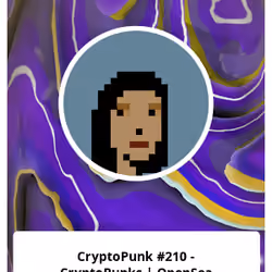 CryptoPunk #210 - CryptoPunks | OpenSea