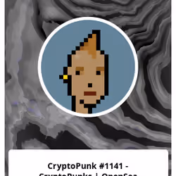 CryptoPunk #1141 - CryptoPunks | OpenSea