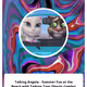 Talking Angela - Summer Fun at the Beach with Talking Tom (Shorts Combo)
