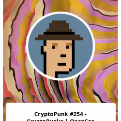CryptoPunk #254 - CryptoPunks | OpenSea
