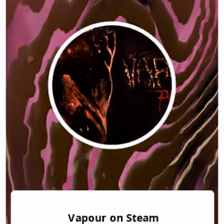 Vapour on Steam