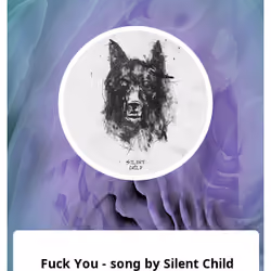 Fuck You - song by Silent Child 