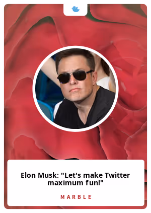 Elon Musk: "Let's make Twitter maximum fun!"