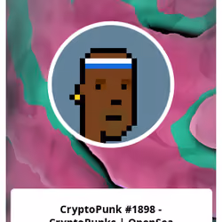 CryptoPunk #1898 - CryptoPunks | OpenSea
