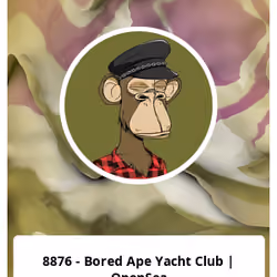 8876 - Bored Ape Yacht Club | OpenSea