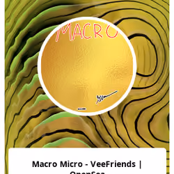 Macro Micro - VeeFriends | OpenSea