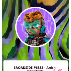 BROADSIDE #6853 - Anish - Broadside 