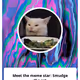 154809