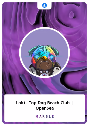 Loki - Top Dog Beach Club | OpenSea