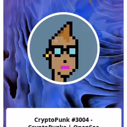 CryptoPunk #3004 - CryptoPunks | OpenSea