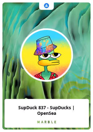 SupDuck 837 - SupDucks | OpenSea