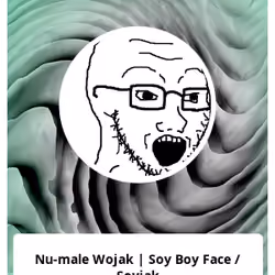 Nu-male Wojak | Soy Boy Face / Soyjak