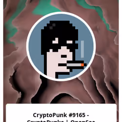 CryptoPunk #9165 - CryptoPunks | OpenSea