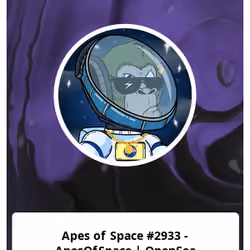 Apes of Space #2933 - ApesOfSpace | OpenSea