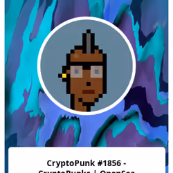 CryptoPunk #1856 - CryptoPunks | OpenSea